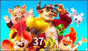 37yy
